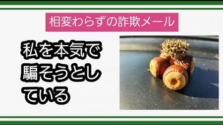 【詐欺メール】今度は消費者金融を語るフィッシング詐欺メール(^_^;)