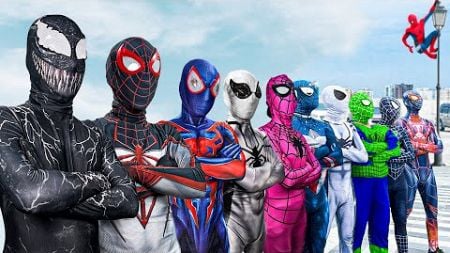 PRO 5 SPIDER-MAN Team || DEADPOOL &amp; WOLVERINE- VENOM: THE LAST DANCE - Sonic the Hedgehog 3 -DOG MAN