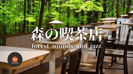 環境音+JAZZ やさしい森の喫茶店 森の中の音でリラックス 作業 / 勉強 / 休憩 / 睡眠 CAFE MUSIC - 作業用BGM🌳