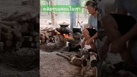 #คติธรรมสอนใจ #คนเลี้ยงหมู #อยู่กับธรรมชาติ #ใช้ชีวิตแบบพอเพียง #ไม่มีที่ไหนสุขใจเท่าบ้านเรา