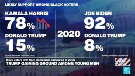 Ideological sorting, class voting have profound effect on US electorate, including ethnic minorities