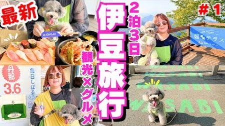 【伊豆高原観光】犬連れ必見！最新版 観光スポットやグルメ情報を紹介！【伊豆パノラマパーク・道の駅伊豆ゲートウェイ函南】vol.１