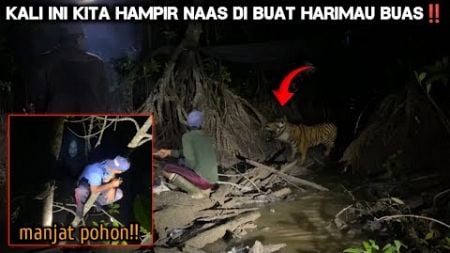 CAMPING HOROR HAMPIR NAAS DI BUAT HARIMAU SUMATRA SAMPAI HARUS MANJAT POHON JERA NGINEP DI SUNGAI!