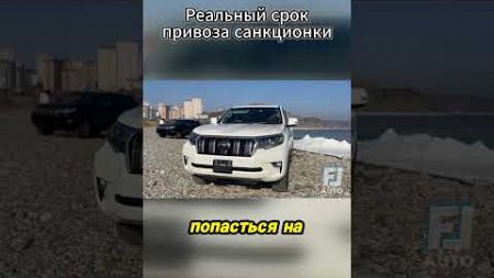 Реальный срок привоза САНКЦИОНКИ #automobile #youtube #юмор #shots #бизнес #shorts #shortvideo