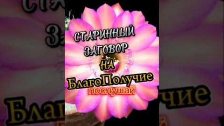 ОЧЕНЬ КРАСИВЫЙ #заговоры #заговор #исцеление #здоровье #благополучие #выздоровление #шортс #силарода