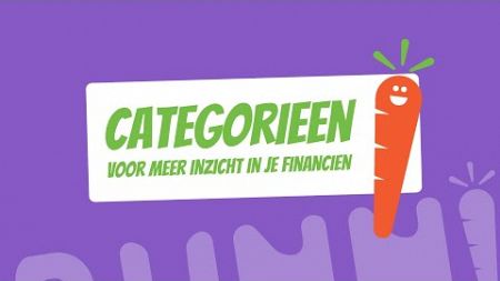 Categorieën 🟠 | Zo krijg je direct meer inzicht in je financiën