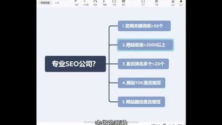 seo公司专业与不专业的区别分析 #seo关键词算法