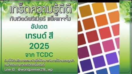 อัปเดตเทรนด์ สี 2025จาก TCDC