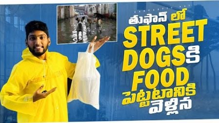 తుఫాన్ lo అమ్మ కి చెప్పకుండా street dogs ki Food Pattataniki vellina #dog #food #funny #shorts