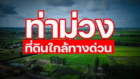 #ประกาศขายที่ดินอำเภอท่าม่วง เนื้อที่ 5ไร่ 2งาน ต.หนองขาว อ.ท่าม่วง จ.กาญจนบุรี โทร.0615625497