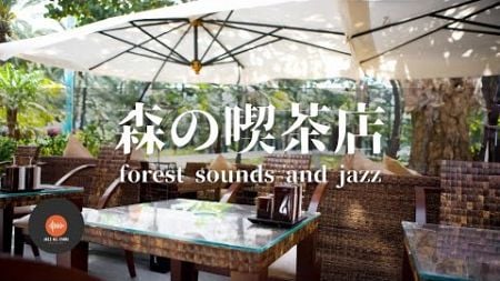 環境音+JAZZ やさしい森の喫茶店 森の中の音でリラックス 作業 / 勉強 / 休憩 / 睡眠 CAFE MUSIC - 作業用BGM🌳