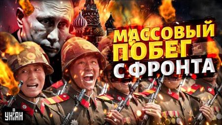 Массовый ПОБЕГ с фронта: солдаты КНДР отказались воевать. Путин в трауре