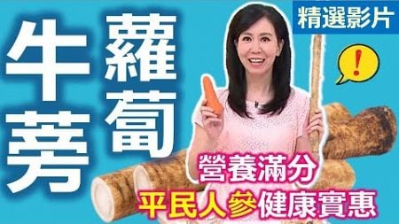 【健康好生活 超精彩回顧】「平民人參」健康實惠 「牛蒡、蘿蔔」營養滿分 /// 佃煮牛蒡 人參牛蒡茶 薑黃蘿蔔咖哩雞 雙色蘿蔔絲煎餅