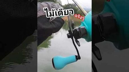 ตีไปไม้เดียว เอาเลย !!! #fishing #ตกปลา #fish #ธรรมชาติ #ตีจิบ #ปลาชะโด