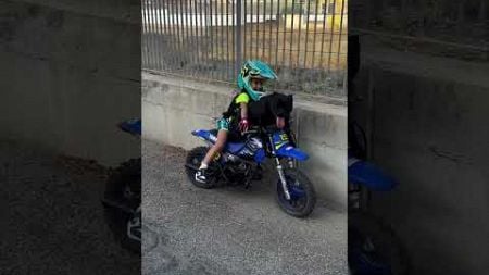 Dog Hops on Minibike and Rides With Boy