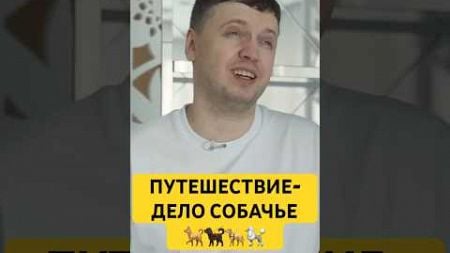 Папич не понимает, зачем путешествовать? #папич #юмор #вписка