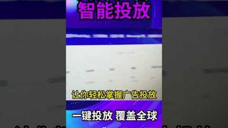 0 全网最强海外营销系统