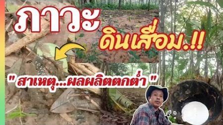 ดินเสื่อมนำสู่ผลผลิตตกต่ำ&quot; ภาวะดินเสื่อม&quot;/คนสวนชวนคุย