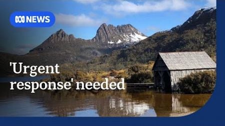 Call for Tasmanian Government to act on &#39;scathing&#39; State of Environment report | ABC News