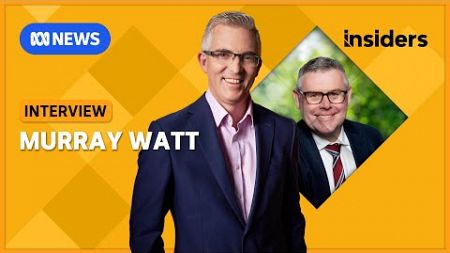 Murray Watt on Housing, the Economy and Industrial Relations | Insiders | ABC News