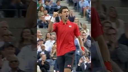 &quot;THAT&#39;S A WONDERFUL SHOT!!&quot; 🔥 🇷🇸 #djokovic #nadal #usopen #tennis #shorts