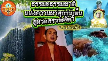 🪷 ธรรมะธรรมชาติแห่งความผาสุกร่มเย็น สู่มวลสรรพสัตว์ #อชเชตวัน #วัดป่าเชตวัน #ธรรมทาน