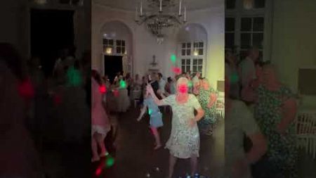 Hochzeit @ Lusthaus Wien, 27.07.2024 - DJ Derksen spielt holländische Musik