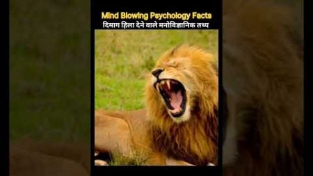 शेरनी का दूध सबसे महंगा बिकता है।। 😱😰 #facts #psychology #shortsfeed #psychologyfacts #factsainhindi