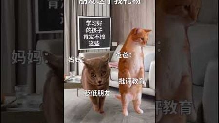 父母的异形教育 #funny #搞笑影片 #cat #搞笑 #迷因貓 #搞笑短視頻合集 #猫 #貓