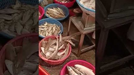 Seafood auction, caught at same day, 海鮮 海魚 大拍賣 坎仔頂 基隆魚市場 fresh seafood, fish market