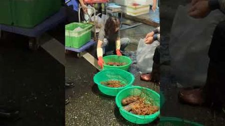 Amazing seafood auction, crazy price, 海鮮魚貨拍賣 坎仔頂 基隆魚市場 seafood fishmarket auction