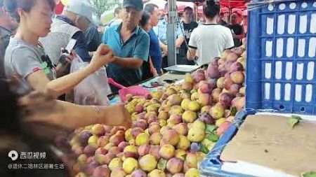 二姐在伊春林场租房，环境好住户热情常送小园菜，在这安全又舒适