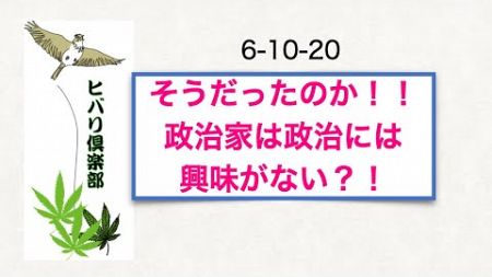 そうだったのか！！「政治家は政治には興味がない？！」