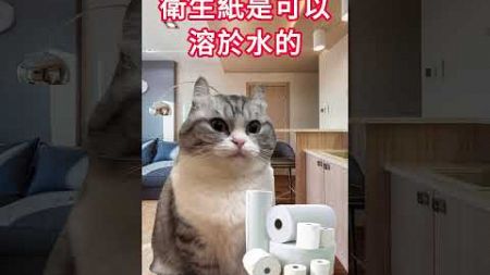 長知識了！ #memes #funny #interesting #cat #environment #梗圖 #搞笑 #有趣 #貓 #迷因 #衛生紙 #環保