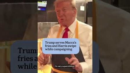 Donald Trump serves McDonald&#39;s fries in latest US election campaign appearance | ABC News