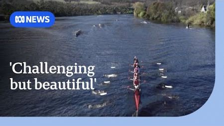 New race promises to draw more rowers to Tasmania&#39;s Huon River | ABC News