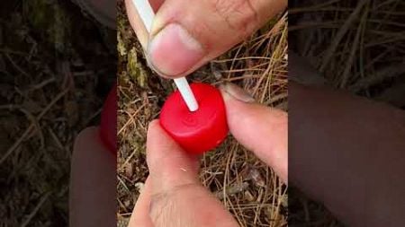 Skills to Find Water in the Forest 🌲 #camping #outdoors #bushcraft #surviva #lifehacks