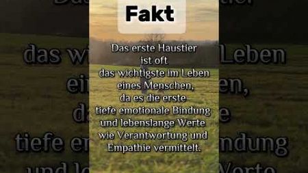 Wie hieß euer erstes Haustier ? #puppy # #haustiere #fyp #facts