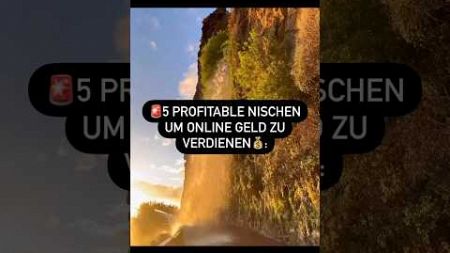 🚨5 profitable Nischen, um Online Geld zu verdienen💰