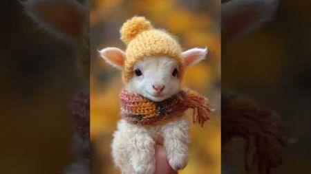 Autumn style from a little lamb: hat and scarf are in trend! #shorts #cute #cuteanimals