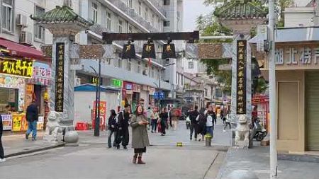 2024 10 20 湖北 武汉 武昌 户部巷 街景 步行街 商业街 Hubei Wuhan