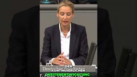 Alice Weidel: Verfassung verbessern - Die Kunst prägnanter Texte