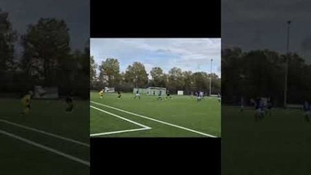 Goal goal goal #football #goals #soccer #voetbal #goal