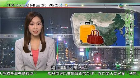 無綫TVB 1000 一小時新聞｜內地今年首三季免簽入境外國遊客達488.5萬人次｜據報美國當局調查機密文件外洩風波 有情報暗示以色列擁有核武｜搖擺州有居民拒表明個人政治立場避衝突 ｜20241020