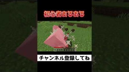 マイクラ初心者あるある【マインクラフト】【コント】