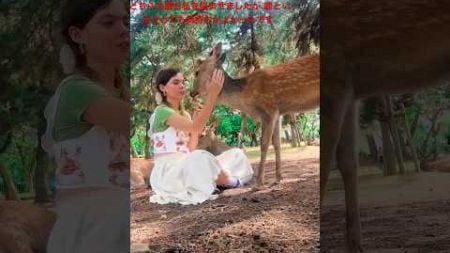 グレースの存在下で: 親愛なる人との感情​​的な旅」 | Nara Deer Park in Japan | 奈良日 本旅行|へずまりゅう奈 良公園