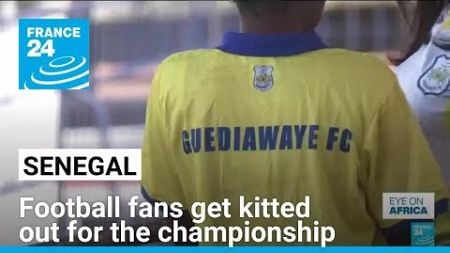 Senegalese football fans get kitted out for the championship • FRANCE 24 English