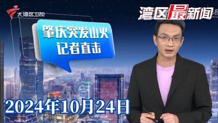 【湾区最新闻】直击：肇庆突发山火 多部门到场扑救|广州：打造骑手友好社区 提高送餐效率|《广州市房地产发展研究报告》出炉 楼市回稳可期|20241024完整版#粤语 #news