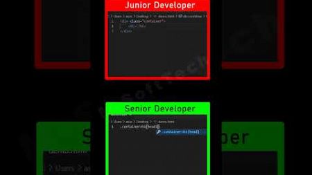 Junior Vs Senior Developer #programming #html #javascript #webdevelopment #html5 #webdesign #css3