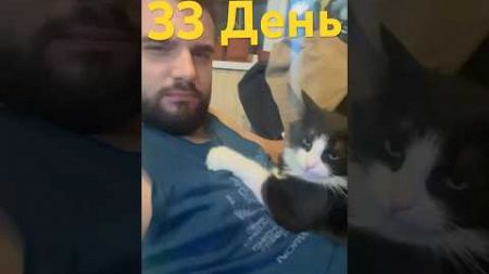 День 33/365. Торт та квіти🎂💐 #блог #самосовершенствование #юмор #vlog #влог